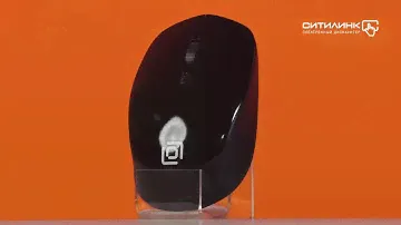 Обзор мыши OKLICK 565MW glossy | Ситилинк